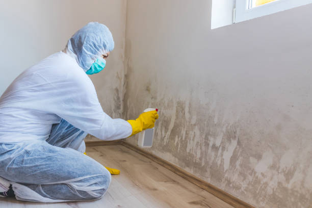 Crawl Space Mold Remediation treatment of floor joists in Kersey